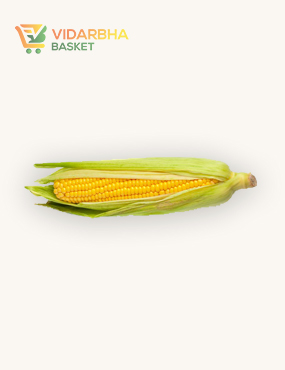 aliquam quat voluptatem